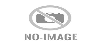 Senior Secondary Curriculum