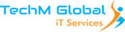 TechM Global IT Services Pvt Ltd | Best Website Design and Development Company in Noida, Delhi;